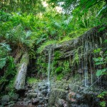 Waterfalls at Hidden Valley Yurts glamping Wales
