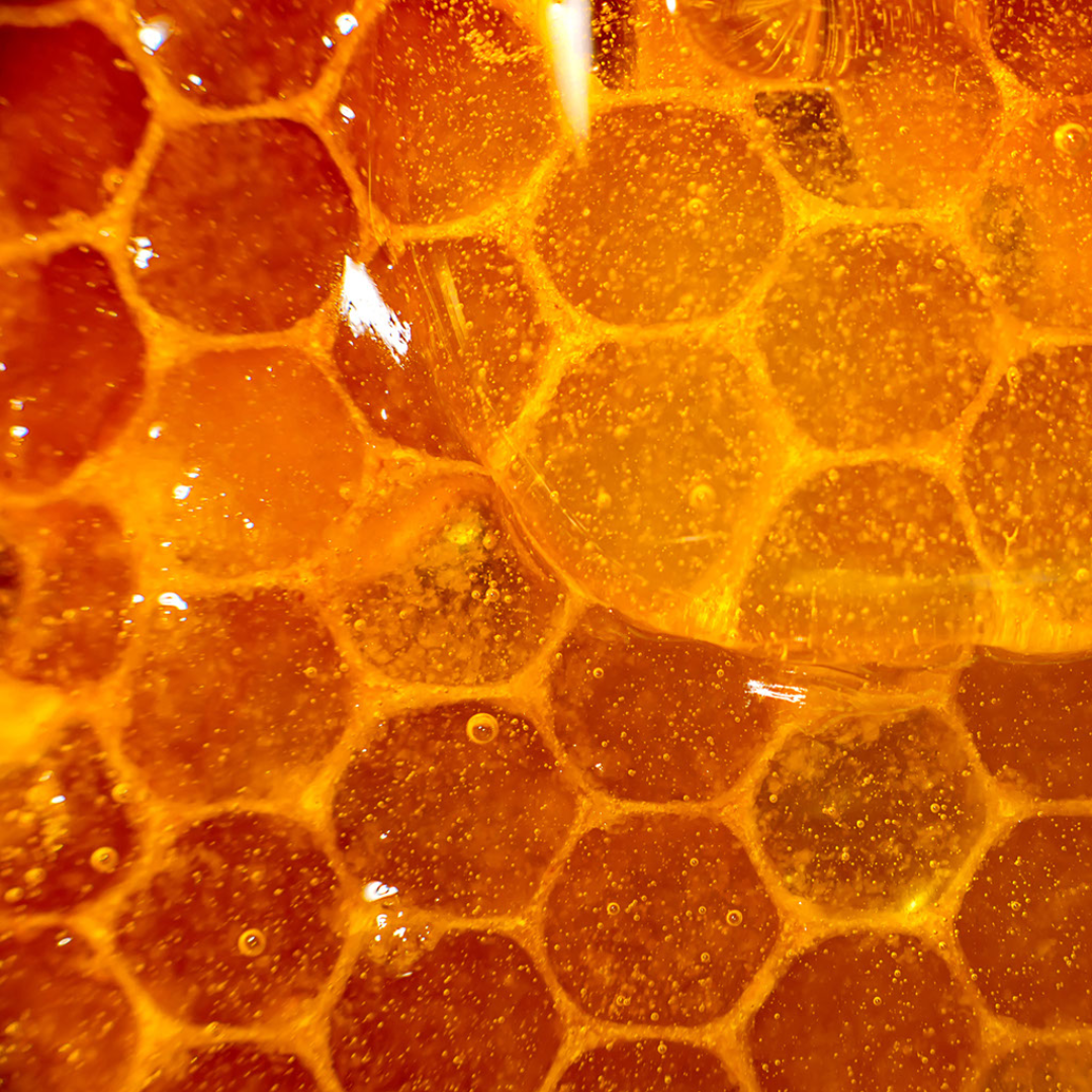 BC Bees Monmouthshire Honey