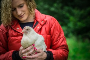 Chickens nature glamping