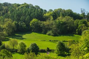 Glamping site valley countryside