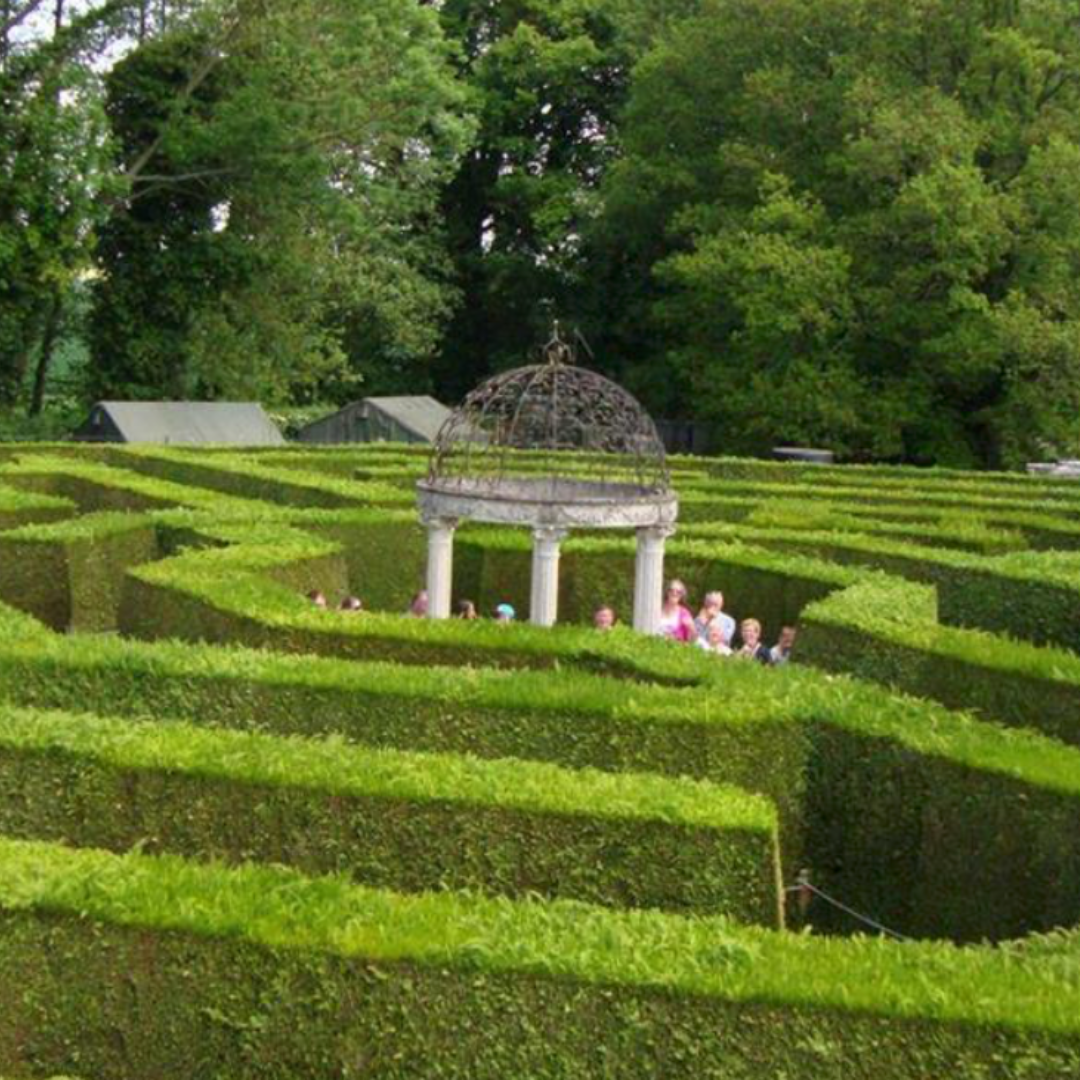 amazing hedge puzzle