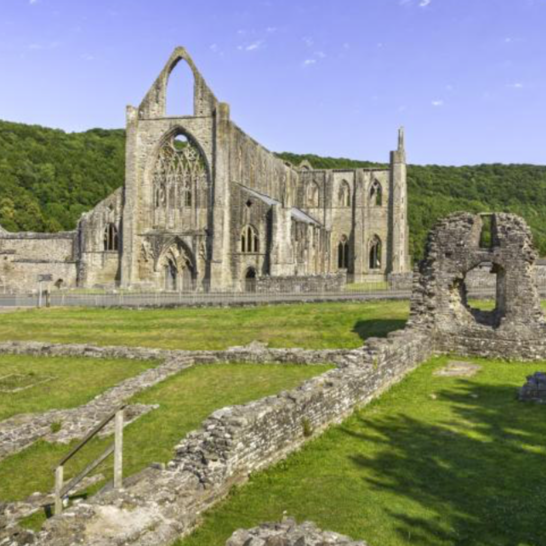 Tintern Abbey image