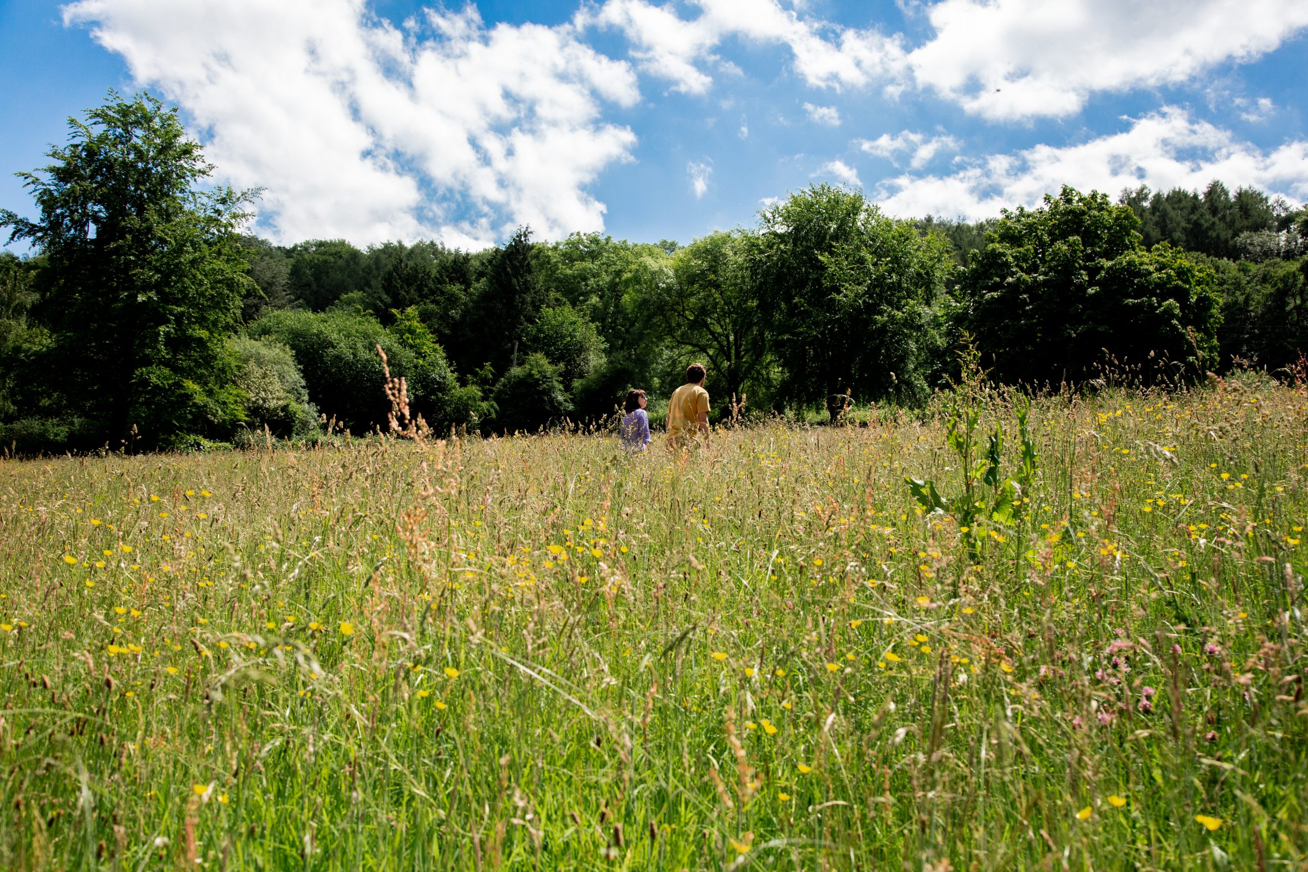 Couple walking through meadow