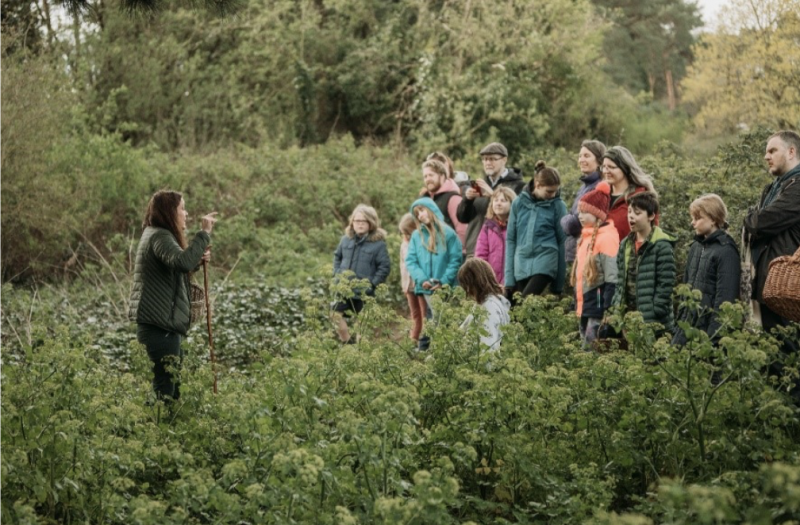 foraging excursion